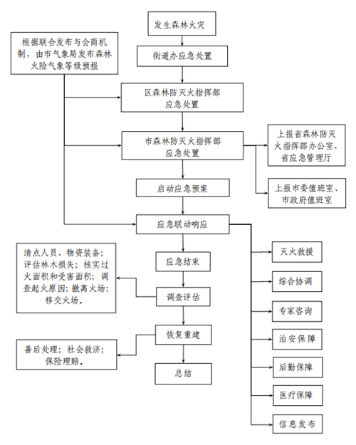 处置森林火灾流程图