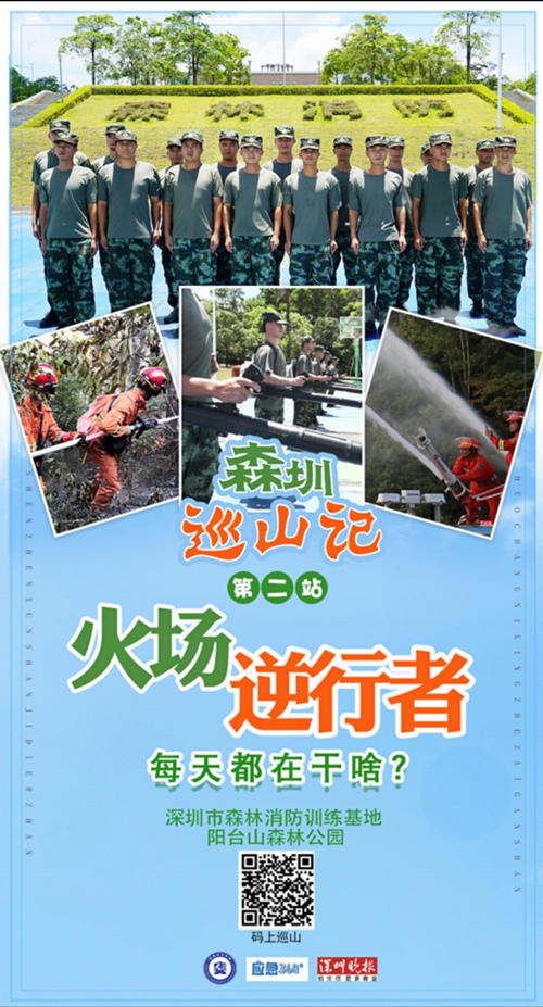 c36b1082f6d0ca46ada0cf01564cdb0.jpg