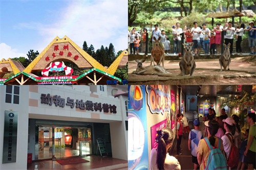 图片 19.png